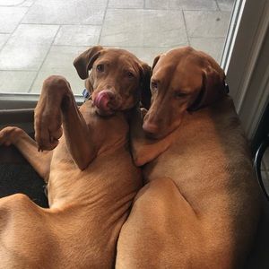 Meet your Posher, Avery